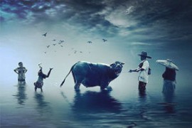 青浦注销公司流程大揭秘！老板必看，轻松成老板！青浦注销公司流程及费用